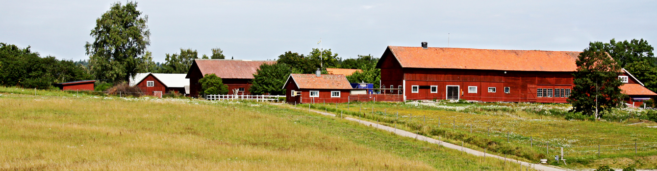 veosol_lantbruk_huvud